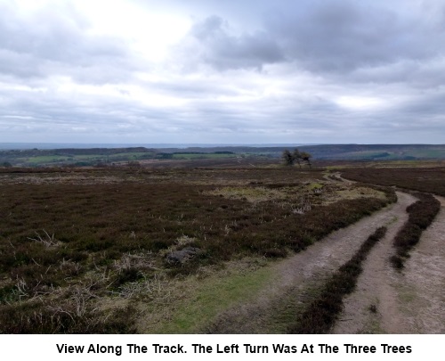 View along part of the track