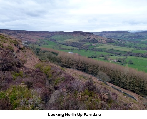 Looking up Farndale