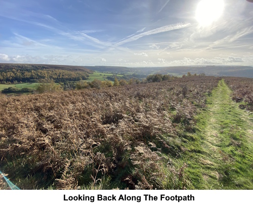 Looking back along the footpath on Hawnby Hill.