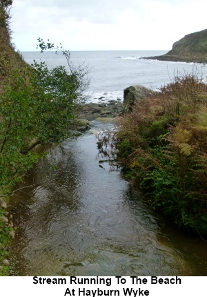 Stream running to the beach at Hayburn Wyke.