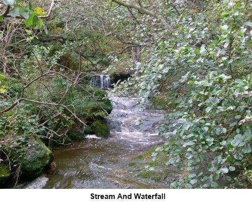 Stream and waterfall