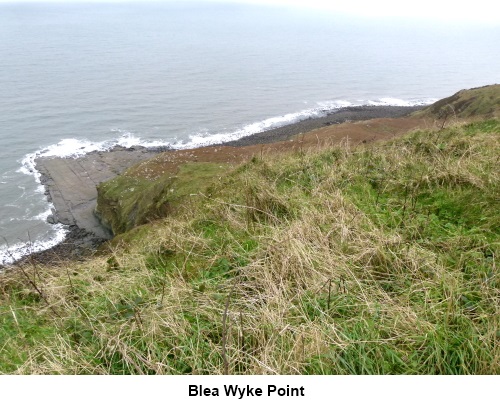 Blea Wyke Point.