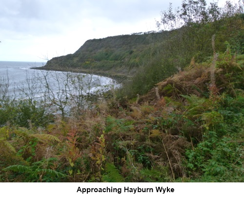 Approaching Hayburn Wyke.