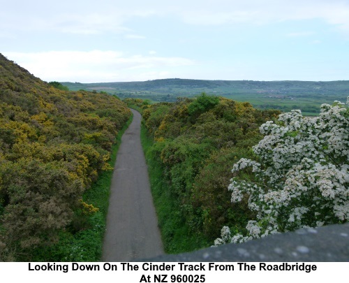 View alonh the Cinder Track.