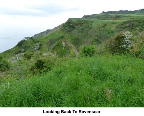 Looking back towards Ravenscar.