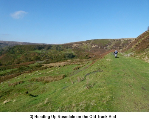 Rosedale Old Railway Track