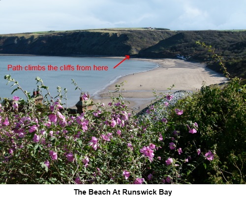 Beach at Runswick Bay