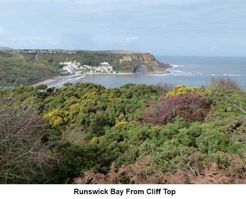 Runswick Bay from the cliff top