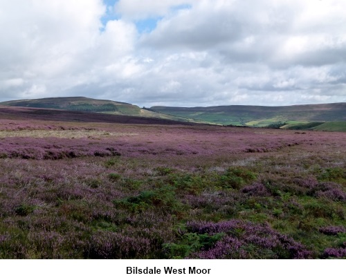 bilsdale west moor