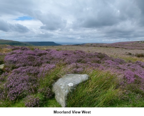 moorland view