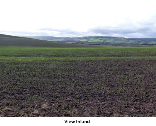 The view inland from the cliffs.