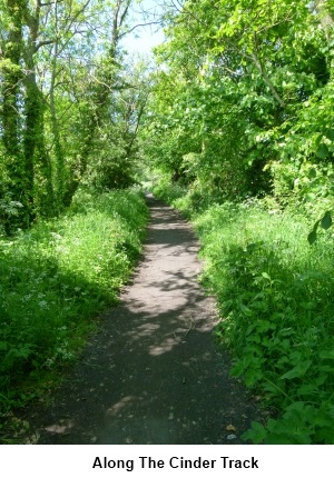 Along the Cinder Track.