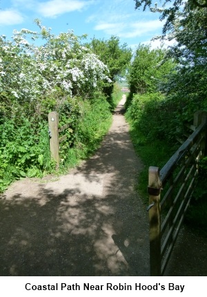 Coastal path near Robin Hood's Bay.