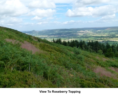 View to Roseberry Topping