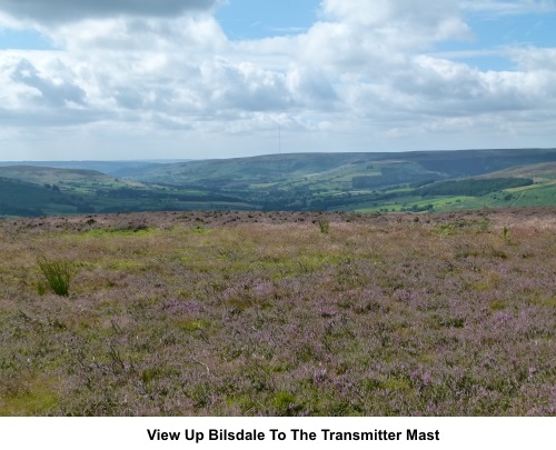 View up Bilsdale to the transmitter mast