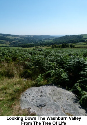 A view down the Washburn Valley from the Tree of Life.