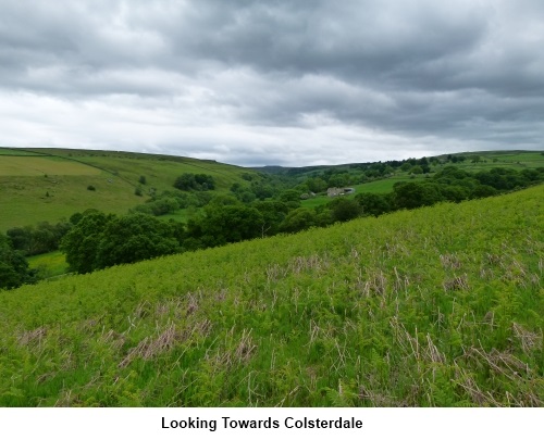 Looking towards Colsterdale