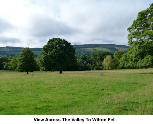 View across the valley to Witton Fell.