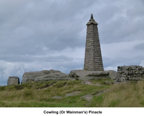 Cowling (or Wainman's) Pinacle