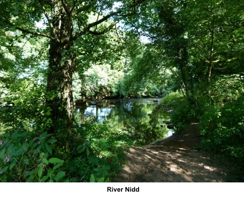 River Nidd