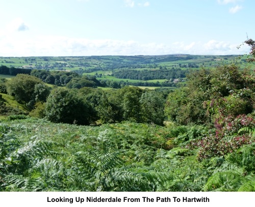 View up Nidderdale