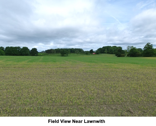 Field view near Lawnwith