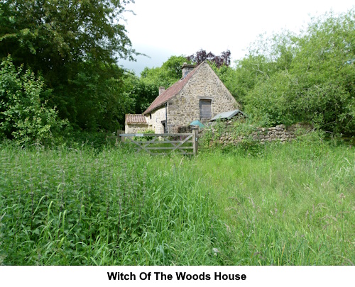 Witch of the Woods House.