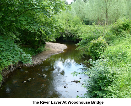 The River Laver at Woodhouse Bridge.