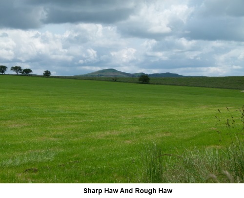 Sharp Haw and Ropugh Haw