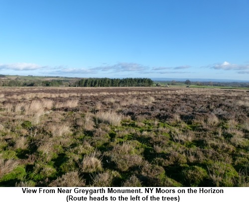 View from Nr Greygarth Monument