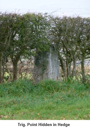 Trig Point