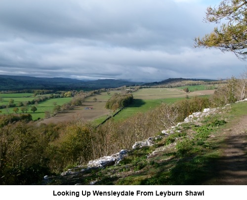 View up Wensleydale