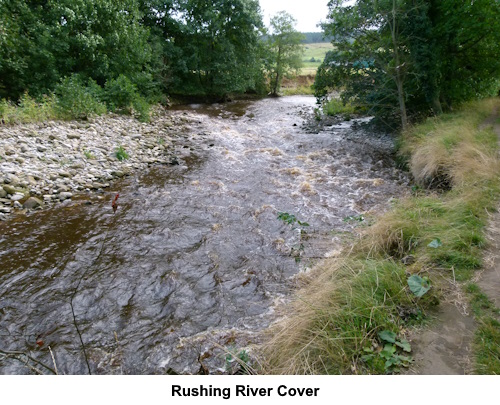 The rushing River Cover.