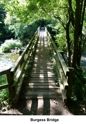 Burgess Bridge