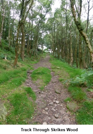 Skrikes Wood