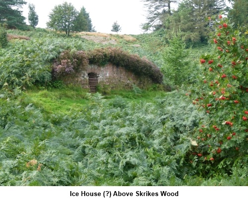 Ice House