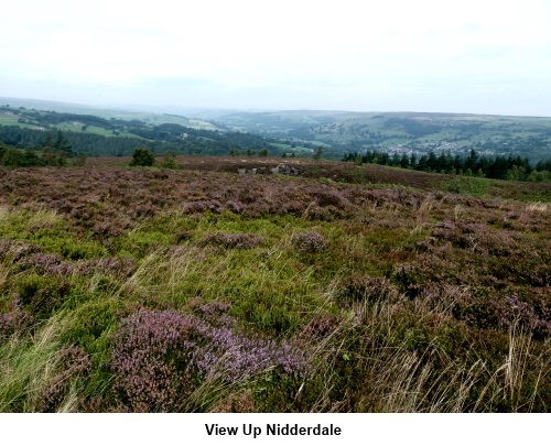 Nidderdale view