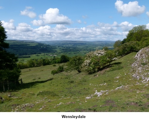 Wensleydale