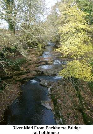 River Nidd