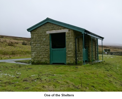 Shelter