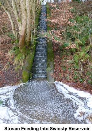 One of the streams flowing sown a stairway cascade into Swinsty Reservoir.