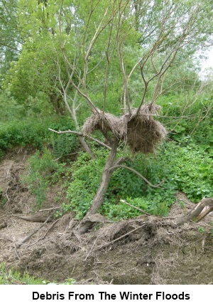 Debris from the winter floods