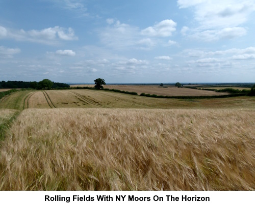 Rolling fields with the North York Moors on the horizon.