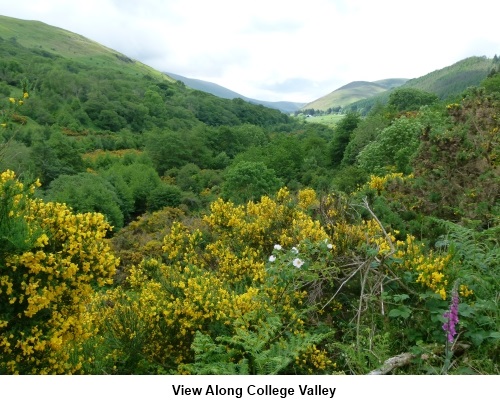 View along College Valley.