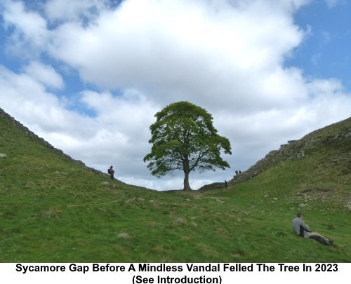 Sycamore Gap