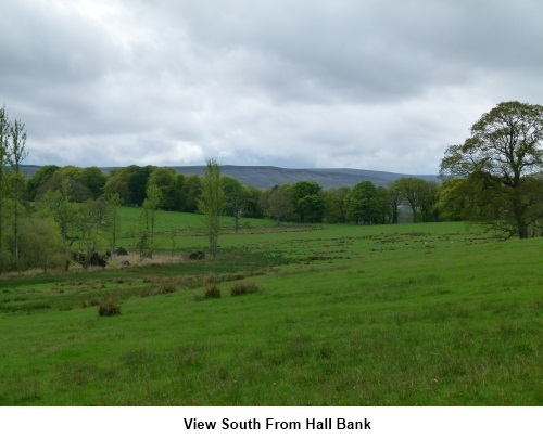 View south from Hall bank