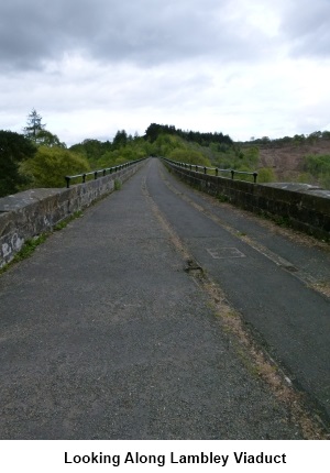 Looking along Lambley Viaduct