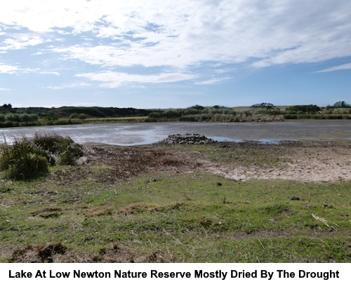 The lake at Low Newton Nature Reserve partially dried out due to the 2025 drought.