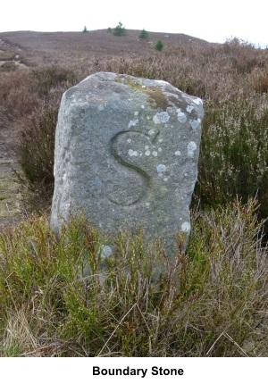 Boundary Stone