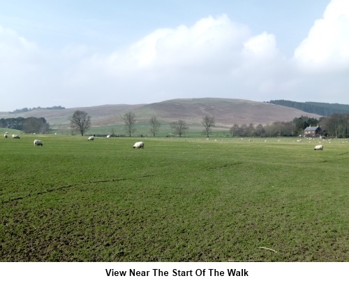 View near the start of the walk